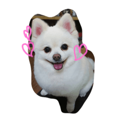 [LINEスタンプ] らにー