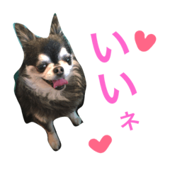 [LINEスタンプ] 愛犬オズワルド