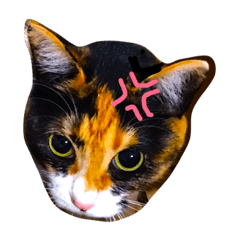 [LINEスタンプ] もなかのガンとばし