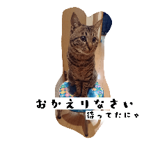 [LINEスタンプ] 猫のりお
