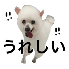 [LINEスタンプ] マイエンジェルびきゅ2