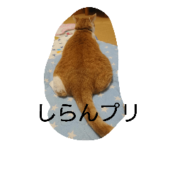[LINEスタンプ] きなこあめ2