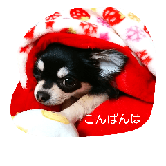 [LINEスタンプ] ラブちゃんスタンプ2