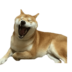 [LINEスタンプ] 柴犬 はち 俺にも喋らせろ！ 3.5.8