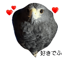[LINEスタンプ] 鷹と猫の愉快な仲間たち