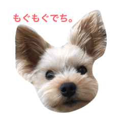[LINEスタンプ] もぐもぐでち。