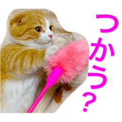 [LINEスタンプ] とらたさん その2