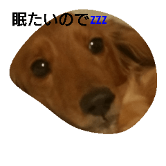[LINEスタンプ] ココアとモコ