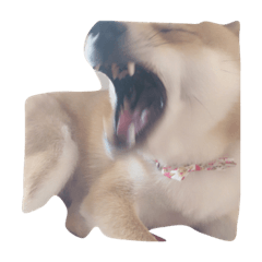 [LINEスタンプ] 初の愛犬シリーズ①