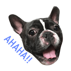 [LINEスタンプ] フレブル AL！！
