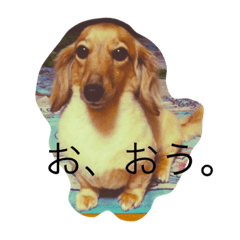 [LINEスタンプ] 犬_