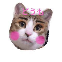 [LINEスタンプ] シフォンさんと親父