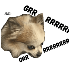 [LINEスタンプ] ムロさんはチワワである。