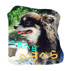[LINEスタンプ] ベータだぞ！