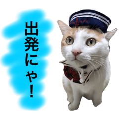 [LINEスタンプ] 猫写真スタンプ白茶トラのもんちゃん2