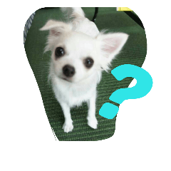 [LINEスタンプ] ハルすたんぷ