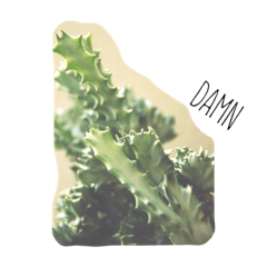 [LINEスタンプ] 植物おじさん