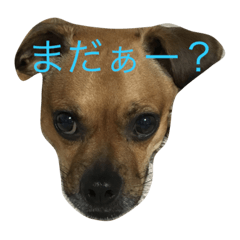 [LINEスタンプ] テツ＆634