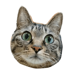 [LINEスタンプ] ひめひめ