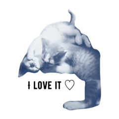 [LINEスタンプ] 小倉猫