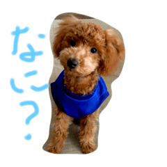 [LINEスタンプ] ことぅ