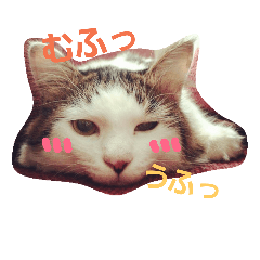 [LINEスタンプ] ぼくおとく part1