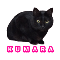 [LINEスタンプ] 黒猫クマラ