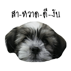 [LINEスタンプ] The puppy.