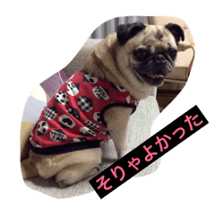 [LINEスタンプ] パグの凛ちゃん2