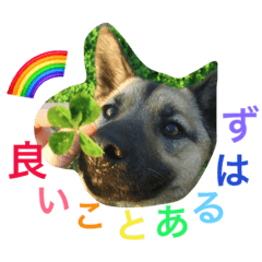[LINEスタンプ] モカハウス