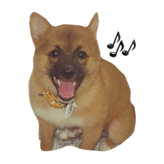 [LINEスタンプ] りんたすたんぷ