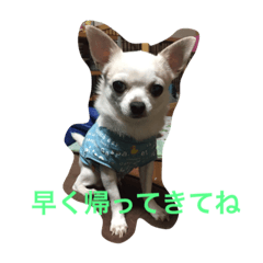 [LINEスタンプ] ジャスティス1