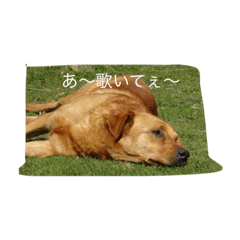 [LINEスタンプ] 雑シリーズ