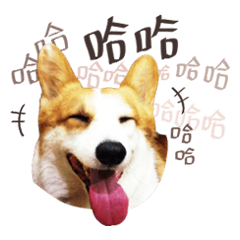 [LINEスタンプ] Corgi Yue-yue