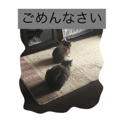 [LINEスタンプ] らぴうぴの為のスタンプ、