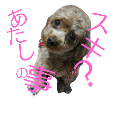 [LINEスタンプ] ドエムねーさん