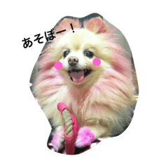 [LINEスタンプ] 愛犬はにーちゃん。