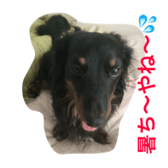 [LINEスタンプ] たっくんの独り言