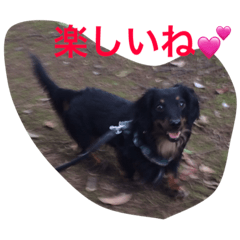 [LINEスタンプ] たっくんスタンプ2