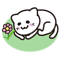 [LINEスタンプ] ちょっととぼけた白い猫のスタンプ