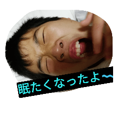 [LINEスタンプ] こうたん
