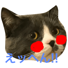 [LINEスタンプ] ジュリちゃん