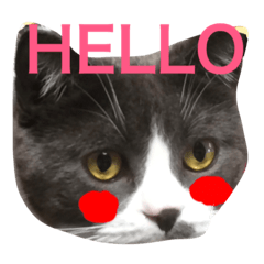 [LINEスタンプ] ジュリア〜ノ ❤ ぶみィ〜！