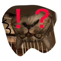 [LINEスタンプ] ごましおスタンプ3