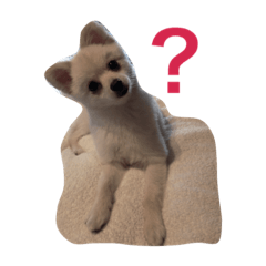 [LINEスタンプ] 家族専用2