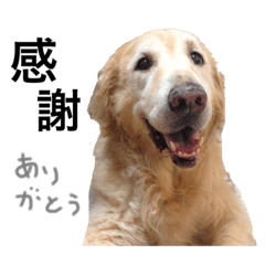 [LINEスタンプ] まーちすたんぷ