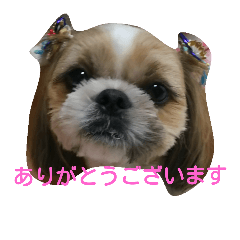 [LINEスタンプ] 琥珀①