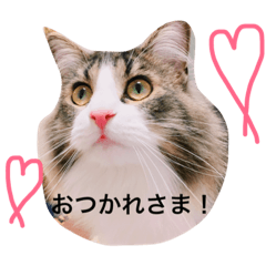 [LINEスタンプ] ちゃいとしずえさん