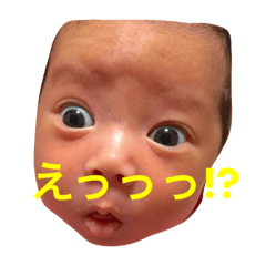 [LINEスタンプ] いろ.あきのスタンプ