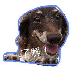 [LINEスタンプ] しんちゃんスタンプ①